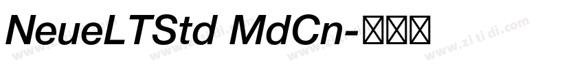 NeueLTStd MdCn字体转换